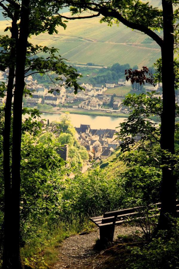 Mosel Panorama Apartment Zell an der Mosel Exterior photo