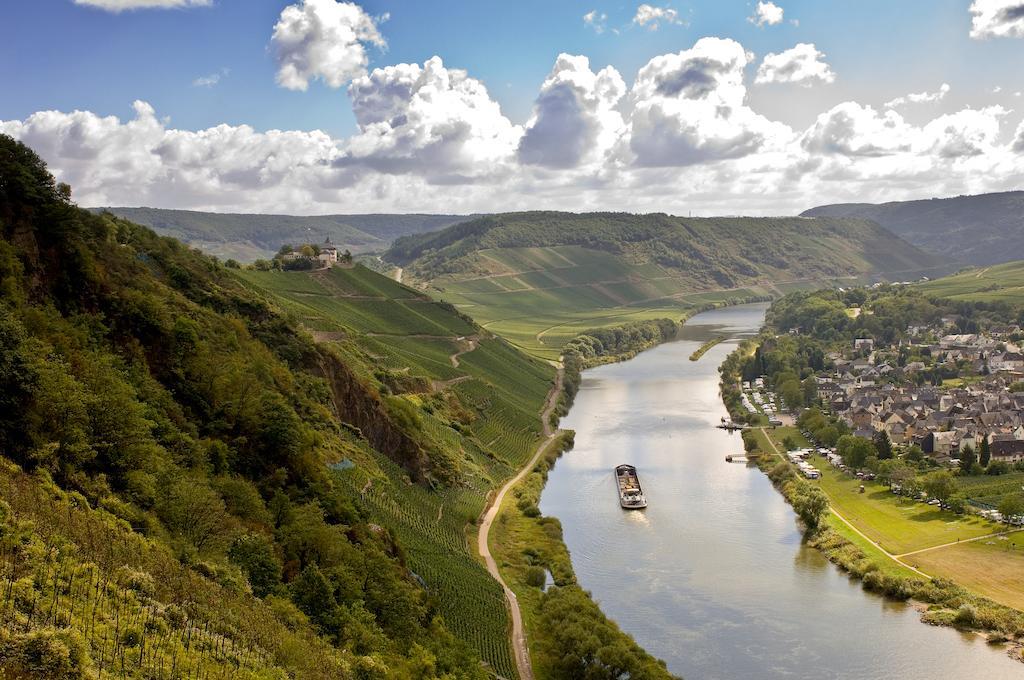 Mosel Panorama Apartment Zell an der Mosel Exterior photo
