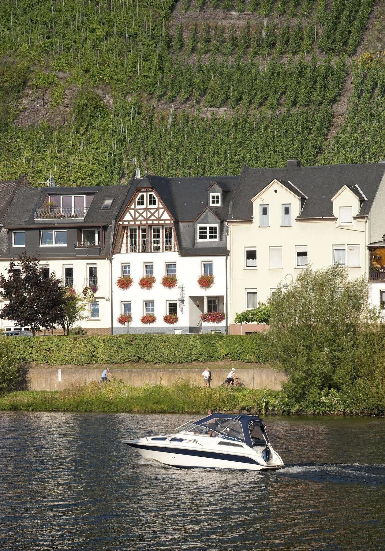 Mosel Panorama Apartment Zell an der Mosel Exterior photo
