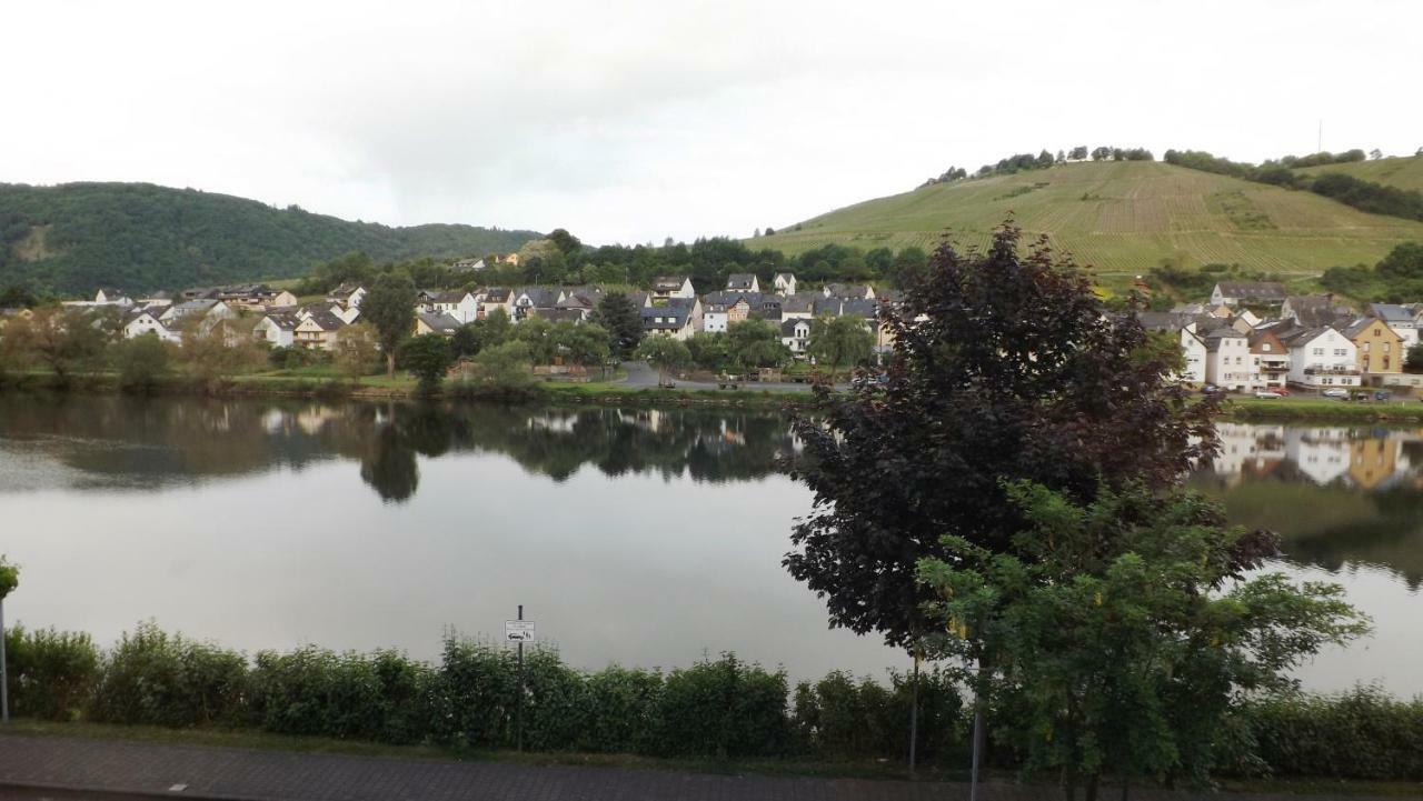 Mosel Panorama Apartment Zell an der Mosel Exterior photo